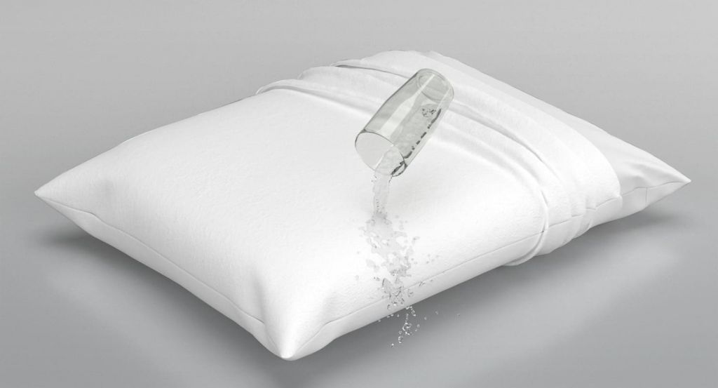 main (5).jpg